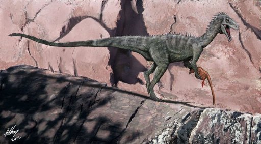 研究发现1.25亿年前澳大利亚恐龙遍布全球