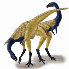 北美发现如同家鸡一般大小食肉恐龙化石_科技