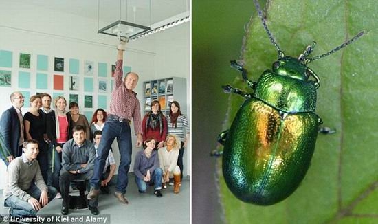 德国研制超强胶带 可将身体悬挂粘在天花板