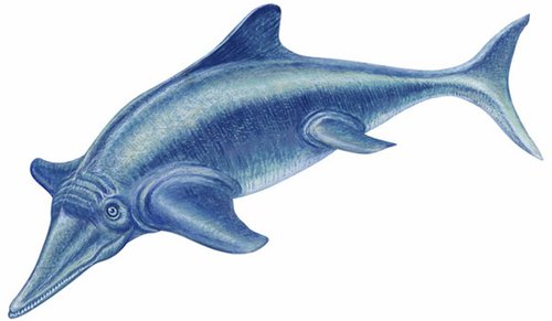 新西兰发现巨型鱼龙化石 长15米曾称霸海洋