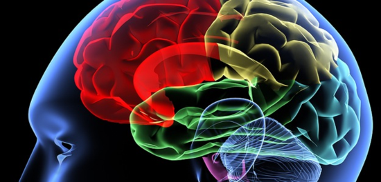 最新研究发现IQ概念是对大脑功能的误解