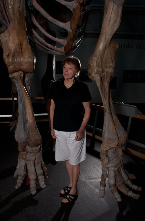 化石显示：北美早期人类确与巨型动物共存过