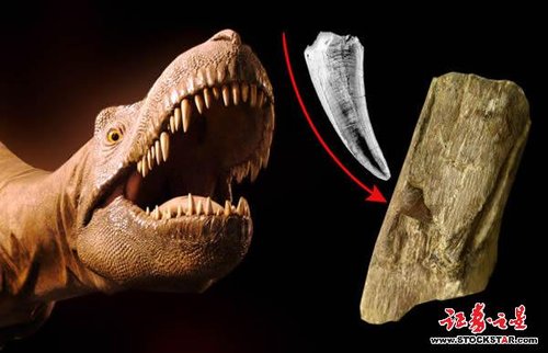 辽宁发现一例恐龙之间直接捕食的化石证据