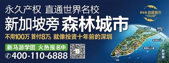 碧桂园森林城市：全球90%的富人都偏爱湾区生活！？