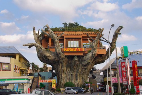日本冲绳榕树餐厅(组图)