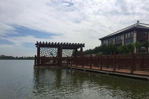 乐乐岛湿地公园——团泊湖景 烟波浩渺
