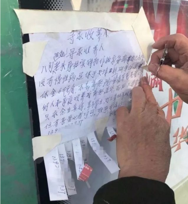 天津8旬老人发广告求收养 退休金每月6千