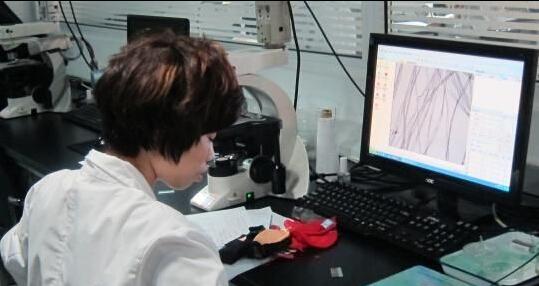 天津消协试验报告:逾半数样品<em>文胸</em>不合格_大燕