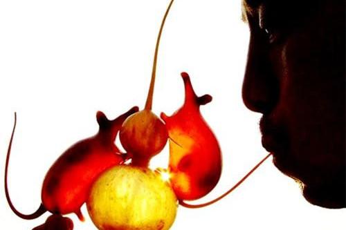 留住手艺，传承技艺_大燕网天津站_腾讯网