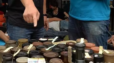 天津"斗蟋蟀"大赌局被"端锅儿" 76人被抓
