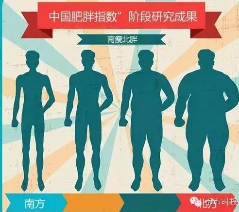 2015中国肥胖指数发布 南瘦北胖是真的吗?