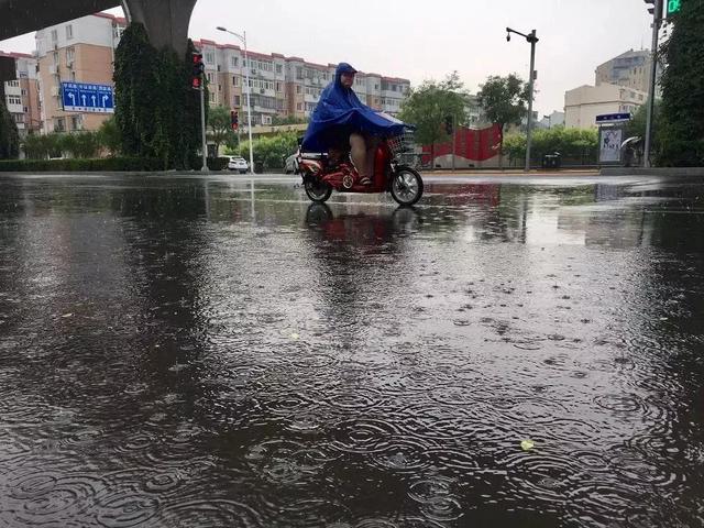 预计本周一夜间津城阴转大雨,周二有暴雨,到了周三还有雷阵雨.