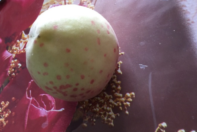 津市民买到奇葩桃子 浑身长斑点不敢吃