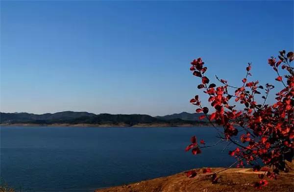 密云水库鱼哪里最好 124368853.jpg