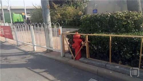 被绿化带防风围挡遮挡 胜利路数个消防栓存隐