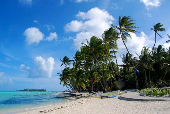 lizard island resort是整个星球上最精锐的旅游胜地之一