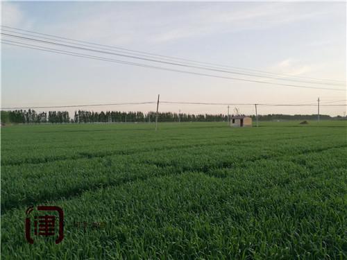 津完成永久基本农田划定:上图入库、落地到户