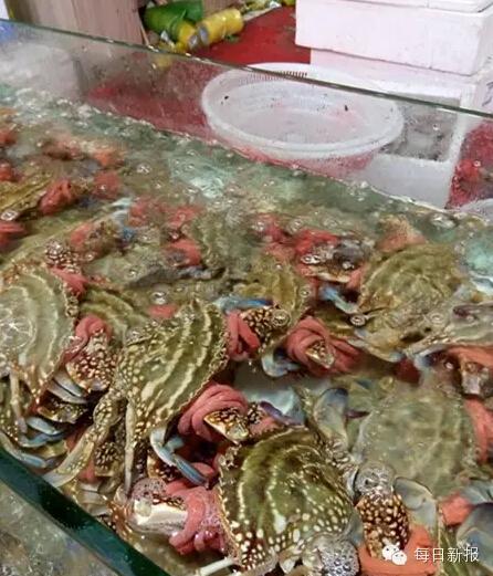 2015年02月20日 - liurenping19540729 - 小萍的博客 买300块钱海蟹,100块钱是皮筋钱