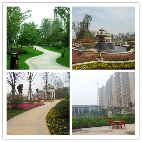 一中西湖校区招聘免费师范生 恒大绿洲教育锦