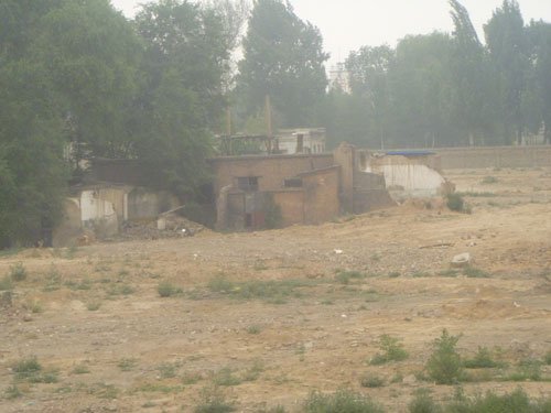 太原迎新街中冶置业工地 残砖断瓦里的缕缕青