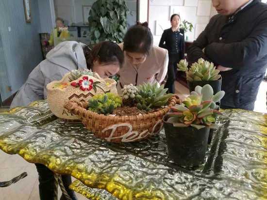 中正睿城多肉植物迷你盆景diy活动完美落幕