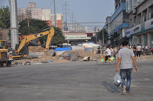 最大的海鲜批发市场_中国最大根雕批发市场_世界上最大的蛇(2)