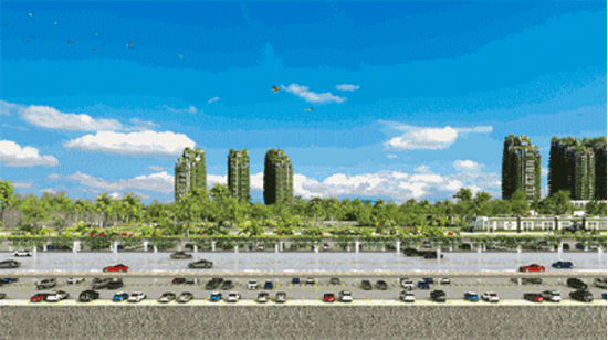 【碧桂园森林城市】马丁跨国直播凭什么吸引7