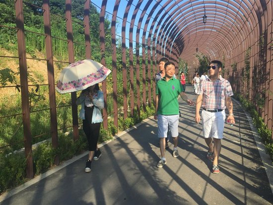 市政处交工路桥区中央山南片绿道工程召开v中央武汉大型的装修设计公司排名图片