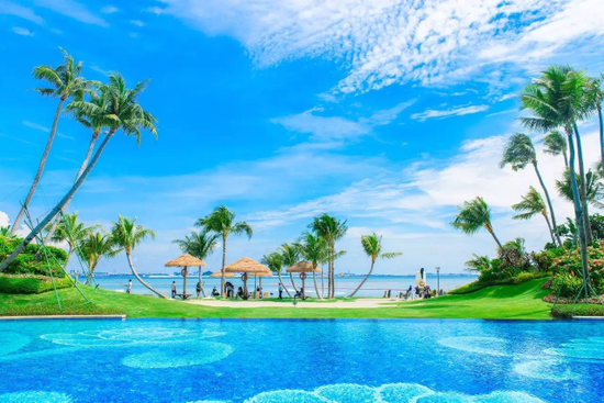 【碧桂园森林城市】马丁跨国直播凭什么吸引7