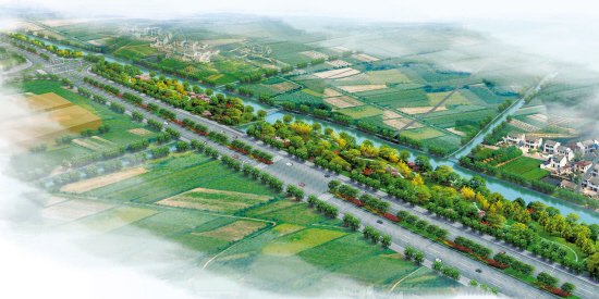 台州经济开发区疏港大道规划