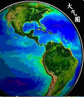 收入证明_古生物学 收入(3)