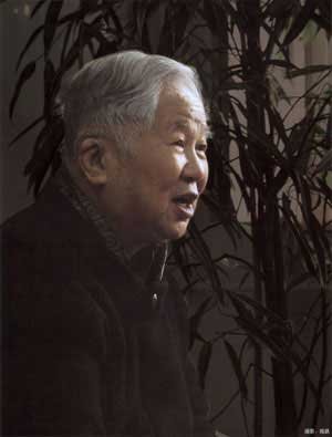 04期 吴良镛:旧城保护与发展可双赢