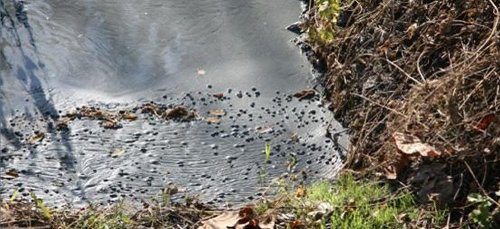 潍坊:掩盖不了的地下水污染