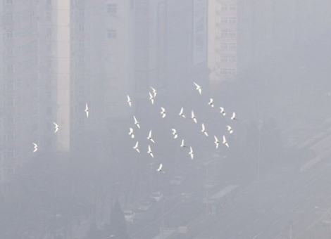 大雾是空气严重污染的罪魁祸首?