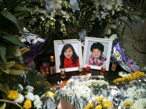 赵何娟:2010,上海之变