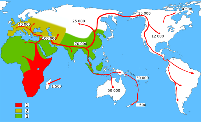 早期人类迁徙地图:1.智人 2.尼安德特人 3.