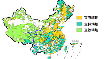 中国 人均耕地_牛耕地图片(2)