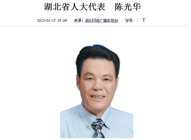 武汉宏兴幕后老板陈光华