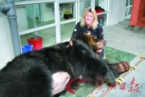 反思:活熊取胆和生态伦理