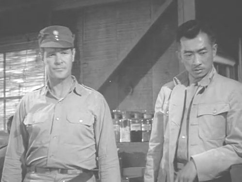 二战时美军如何辨别中国人和日本人?