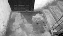 Ů���ɾ���ͬѧ������ɱ