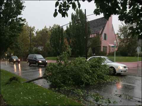暴雨袭美国加州南部 多地区发布洪水警报_国外