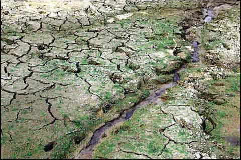 广东旱情不容乐观 急盼降水缓旱情_国内天气_