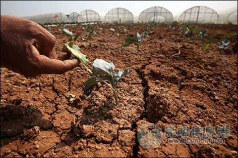 专家:西南部分地区干旱情况及影响分析_国内天