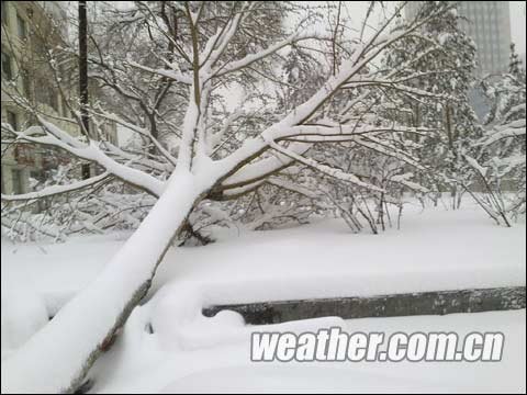 黑龙江降暴雪 机场和5条高速公路关闭