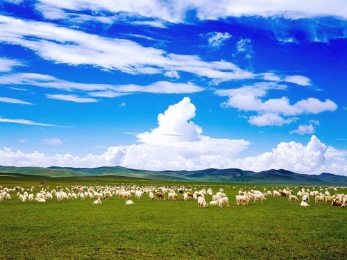 最纯净的草原--呼伦贝尔大草原_推荐线路_天气
