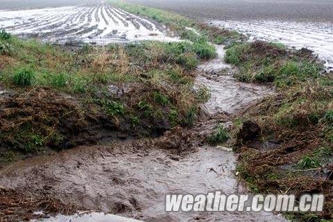 内蒙古东部降雨不停歇 部分地区旱情缓解_形势