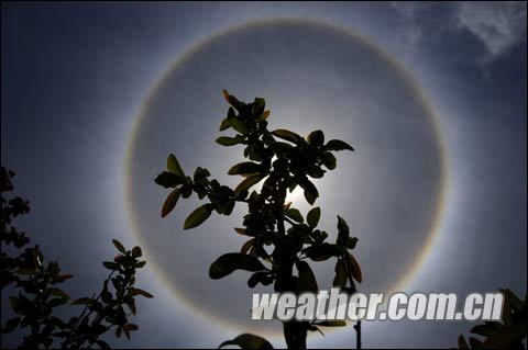 5月3日拉萨出现日晕景观_回顾_天气