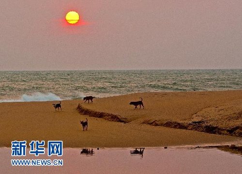 赤道旅游胜地斯里兰卡 跟自然约会_天气资讯_