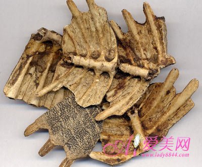 春季健康指南:女人补肾吃什么效果最好